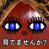 灵芮短剧